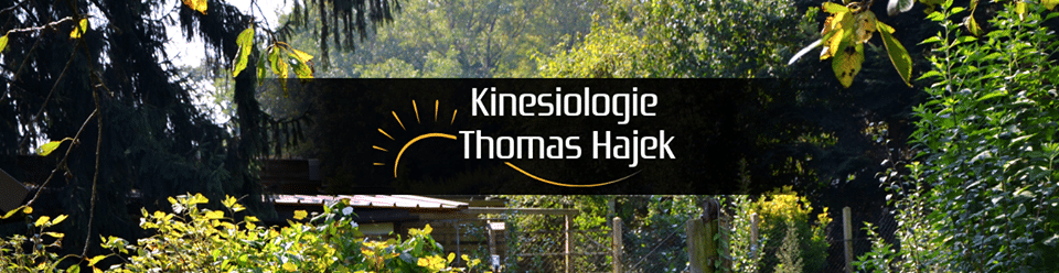 Kinesiologie Thomas Hajek