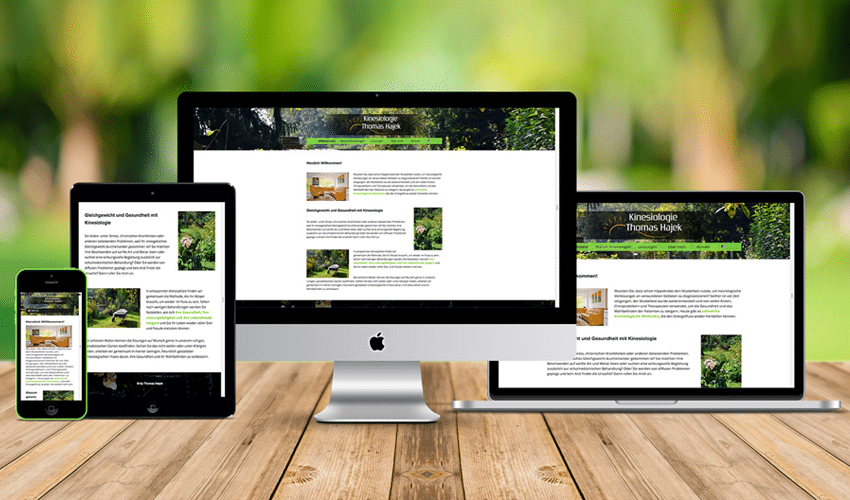 Homepage Kinesiologie Thomas Hajek