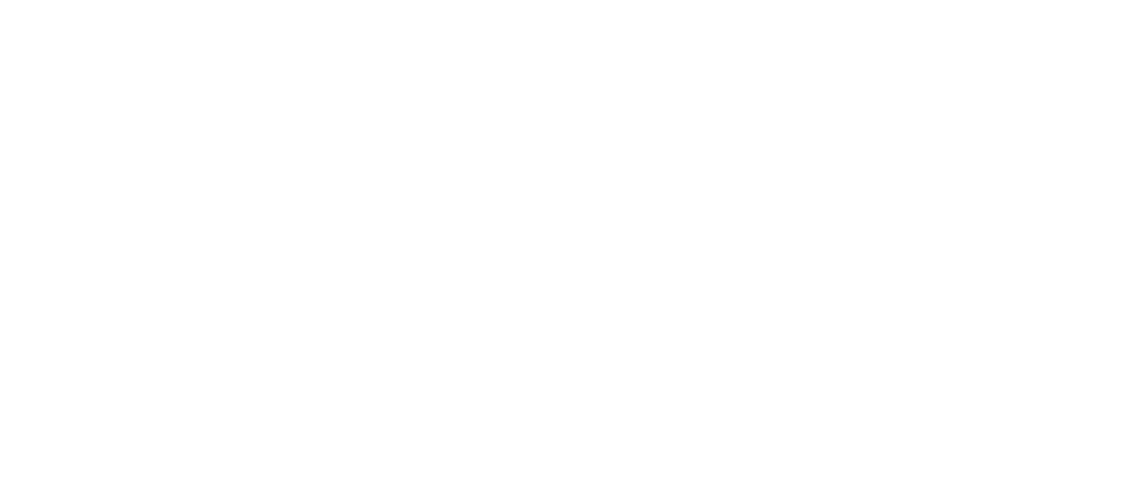 Logo Profisprecher Rudolf Schwarz